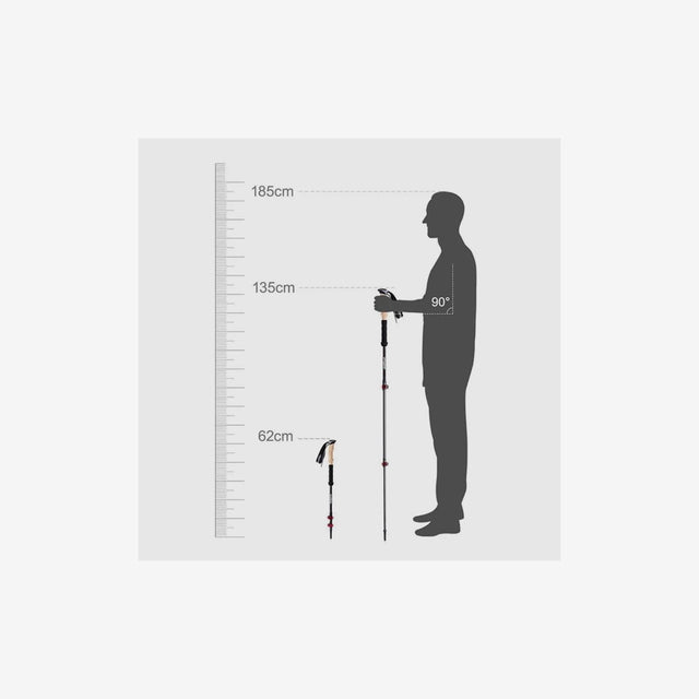 3-Node Carbon Fibre Telescopic Trekking Pole-Set of two