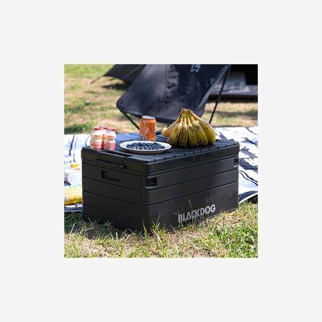 PP Folding Storage Box (Windhike)