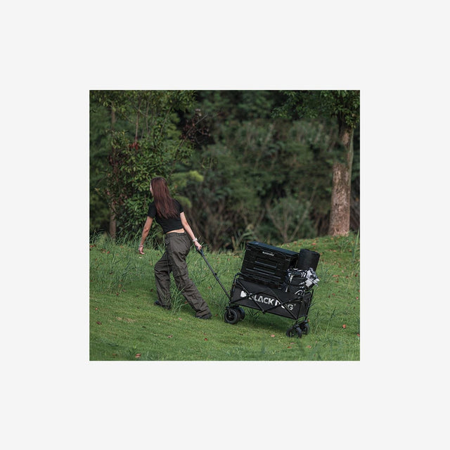Person walking with City Walk Trolley in an urban park or market environment