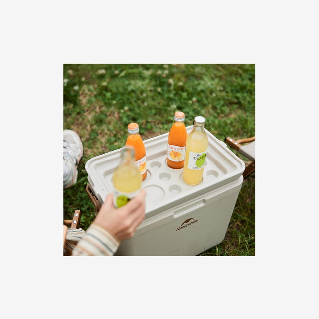 Outdoor Antibacterial Cooler Box