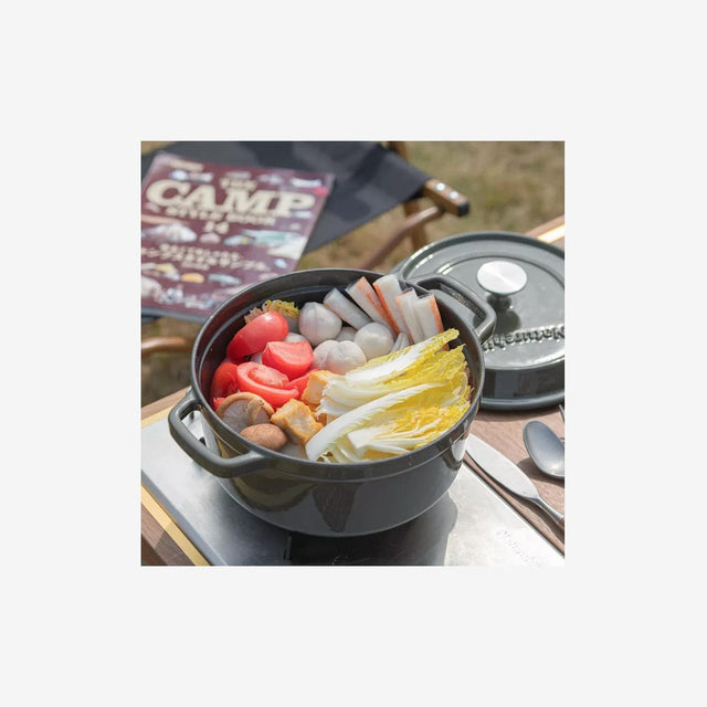 Cast Iron Enamel Pot