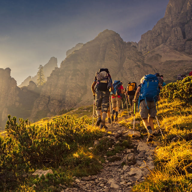 Trekking poles on camping or hike