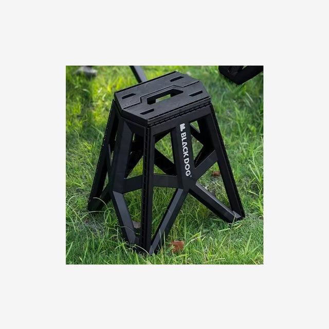 Folding Camp Stool